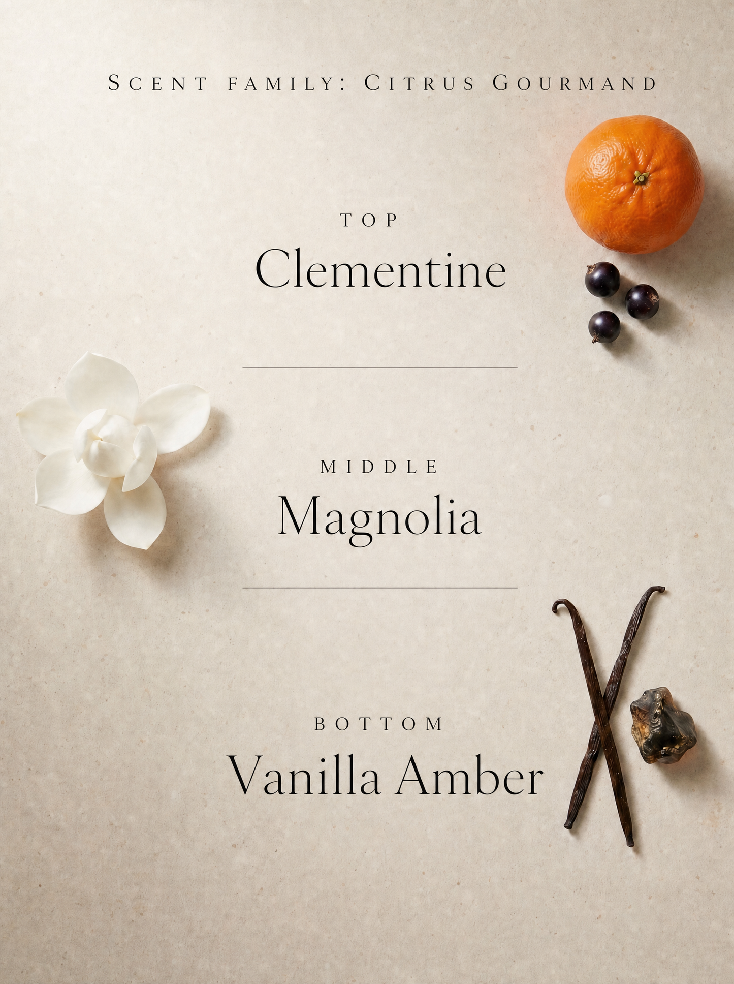 TANGERINE TEASE BODY OIL